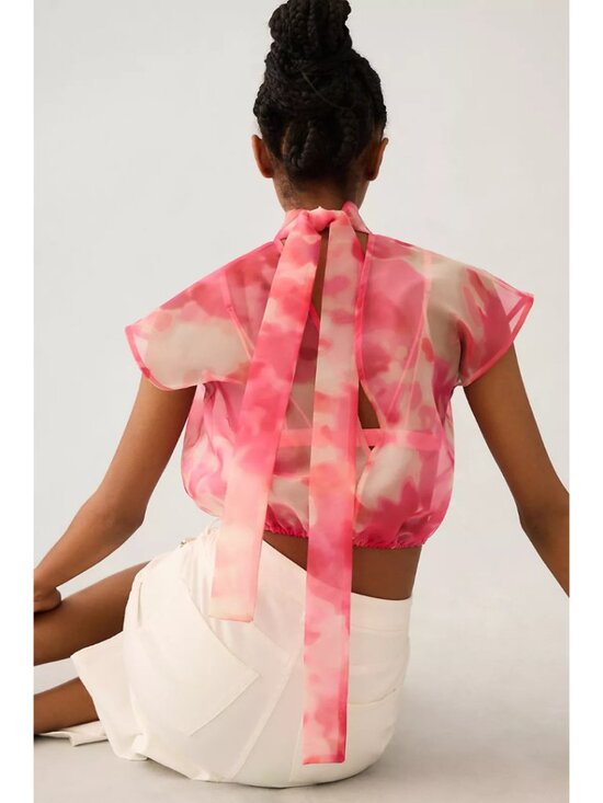 Sunday in Brooklyn Sheer Tie-Neck Blouse - Picture 3 of 7